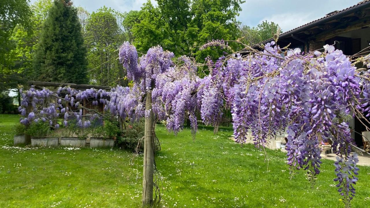 Villa Giulia - Marguareis Peveragno 外观 照片